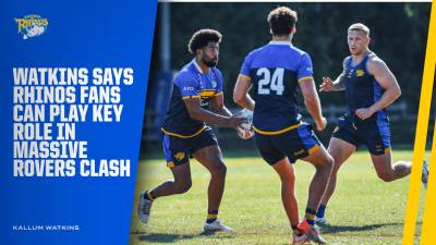 Watkins says home fans can play huge part